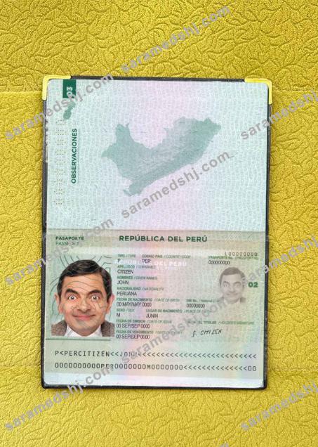 Peru pass photo look